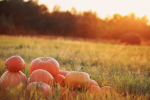 Happy Thanksgiving from Sapphire Gas Solutions, Houston, TX