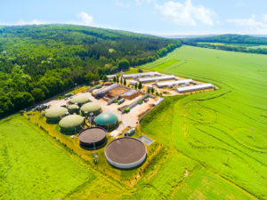 how-does-renewable-natural-gas-work-sapphire-gas-solutions